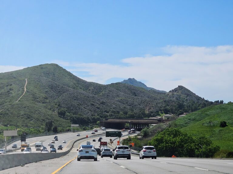The Wallis Annenberg Wildlife Crossing Opens December 2: What It Means for Agoura Hills and Calabasas