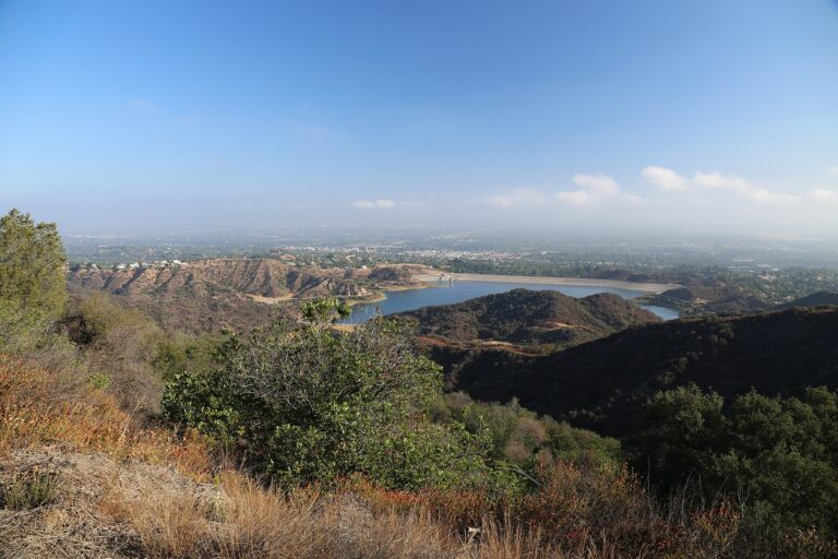 Encino Housing Market and Neighborhood Guide