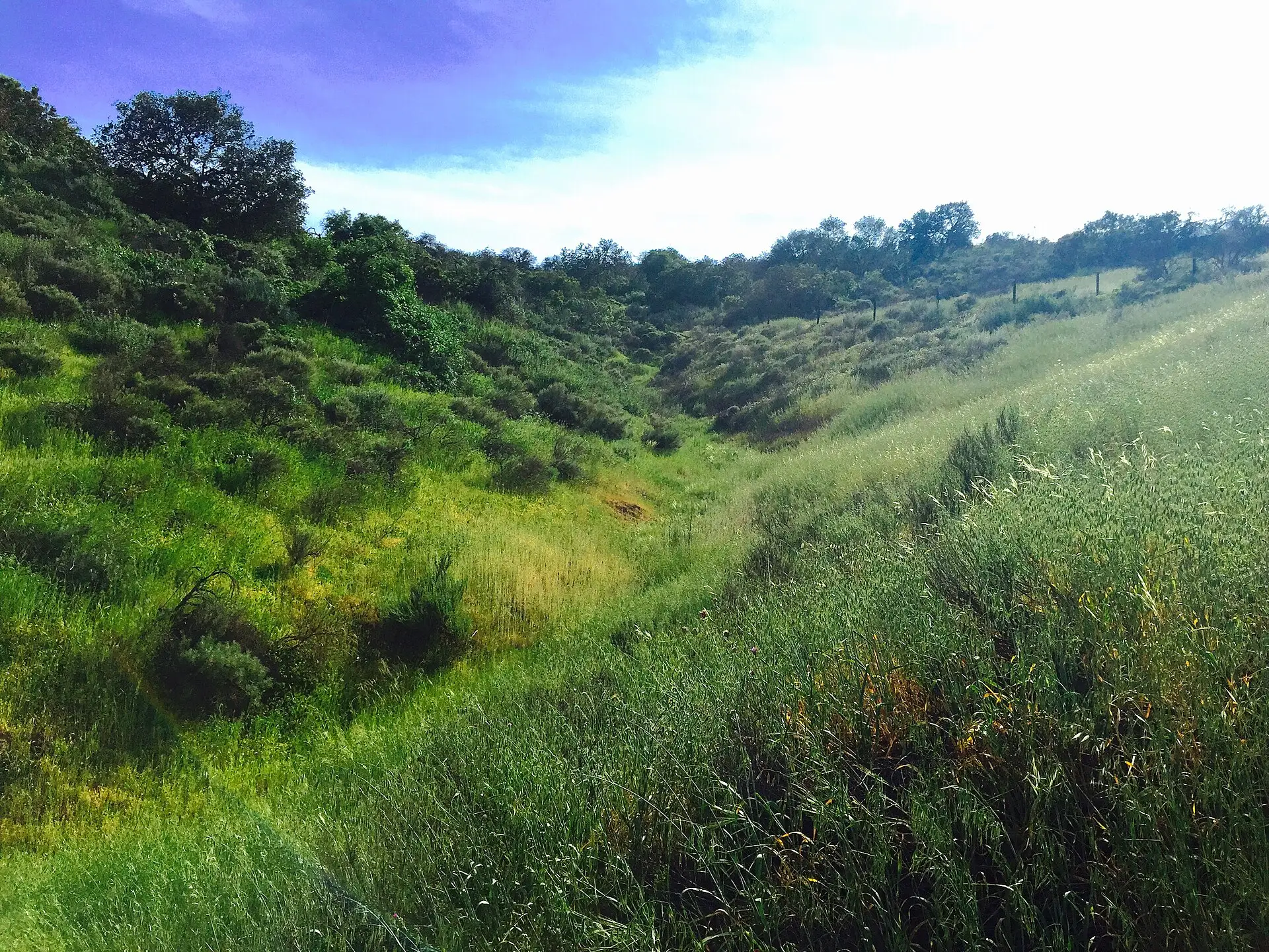 Sherwood Country Club, Westlake Village