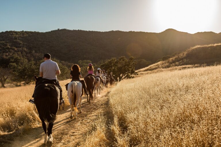 Fire Hazard Zones, Brush Clearance and Insurance in the Conejo Valley: A Plain-English Guide